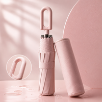 STORMELIX – Automatic Umbrella for Reliable Sun and Rain Protection